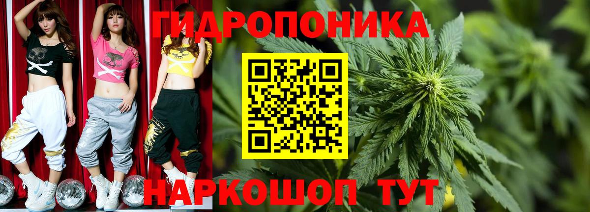 Бошки марихуана семена  Каннабис семена  Валуйки  Вход с VPN  Конопля MAZAR 